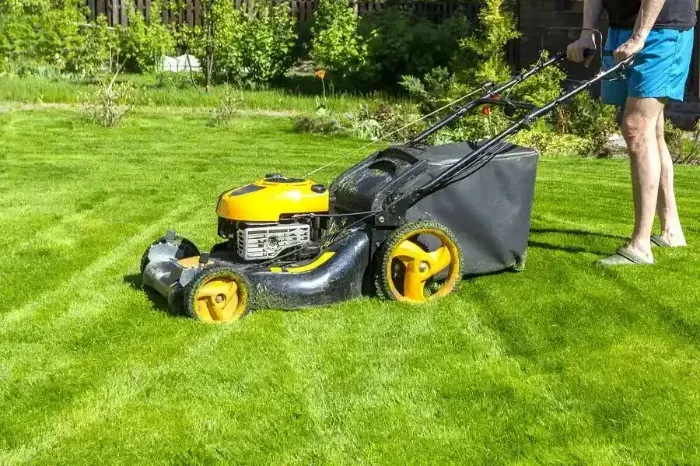 Affordable Lawn Mowing in Antioch, CA