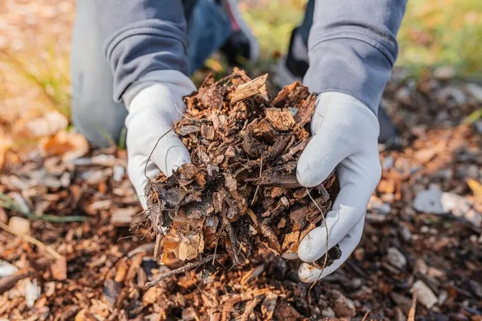 Dependable Mulching in Antioch, CA