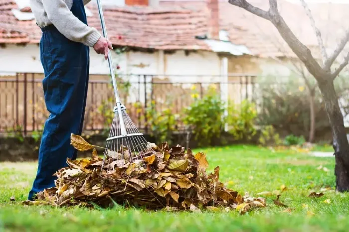 Detailed Yard Cleanup in Antioch, CA