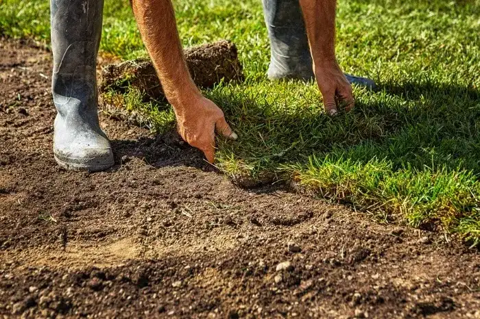 Excellent Sod Installation in Antioch, CA