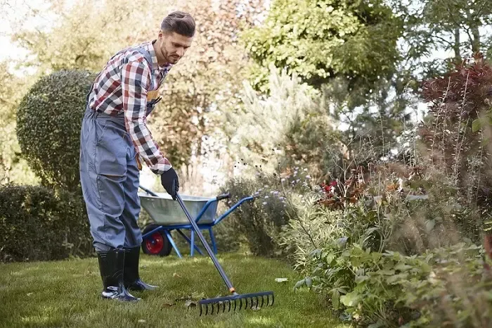 Exceptional Yard Cleanup in Antioch, CA