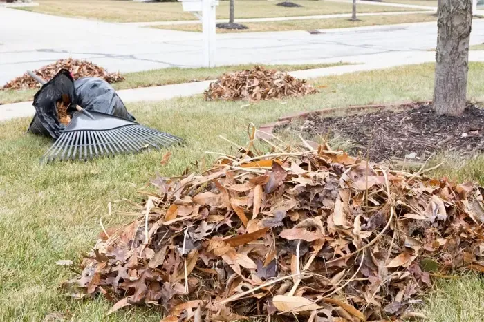 High-quality Yard Cleanup in Antioch, CA