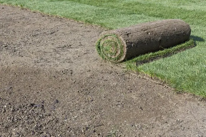 How long after installing sod can you walk on it Antioch, CA