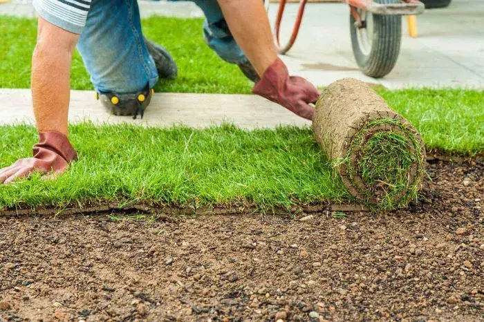 How long after installing sod can you walk on it in Antioch, CA