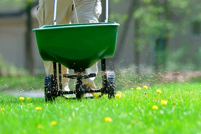 How often should you fertilize your lawn in Antioch, CA