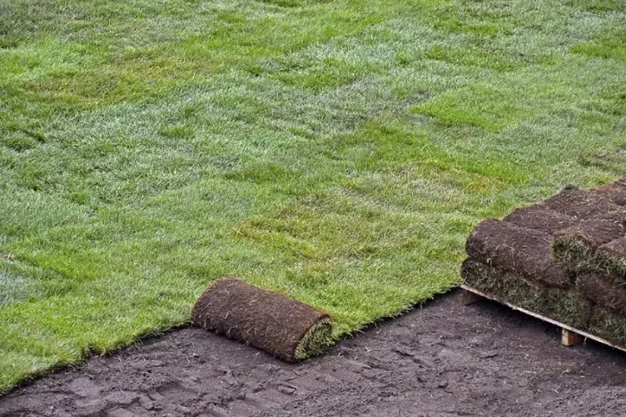 How to lay sod over existing lawn Antioch, CA