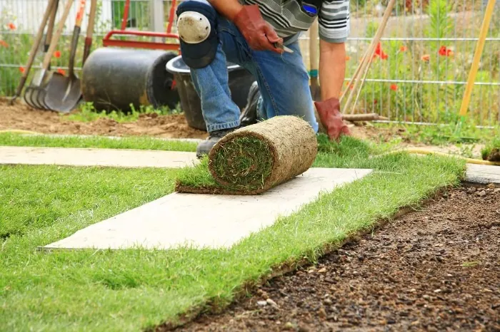 How to lay sod over existing lawn in Antioch, CA