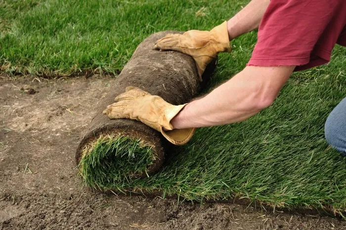 Proficient Sod Installation in Antioch, CA