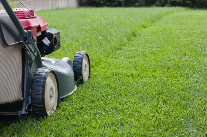 Reliable Lawn Mowing in Antioch, CA