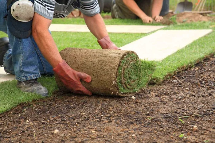 Trusted Sod Installation in Antioch, CA