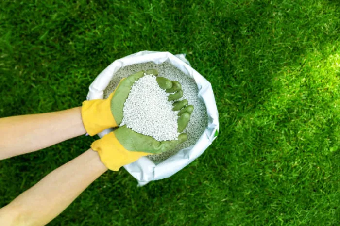 When is the best time to fertilize your lawn Antioch, CA